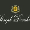 Maison Joseph Drouhin